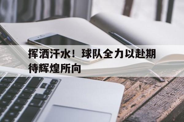 包含挥洒汗水！球队全力以赴期待辉煌所向的词条