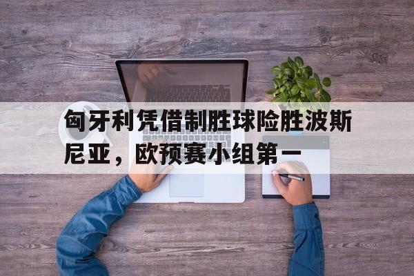 匈牙利凭借制胜球险胜波斯尼亚，欧预赛小组第一的简单介绍